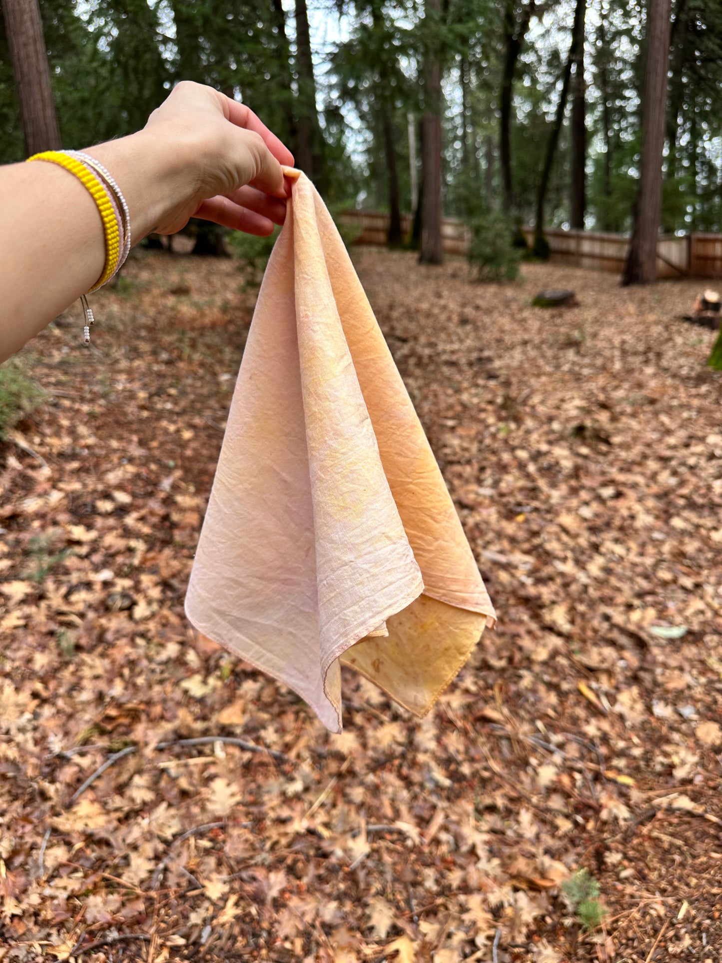 Botanical Dye Cotton Bandana