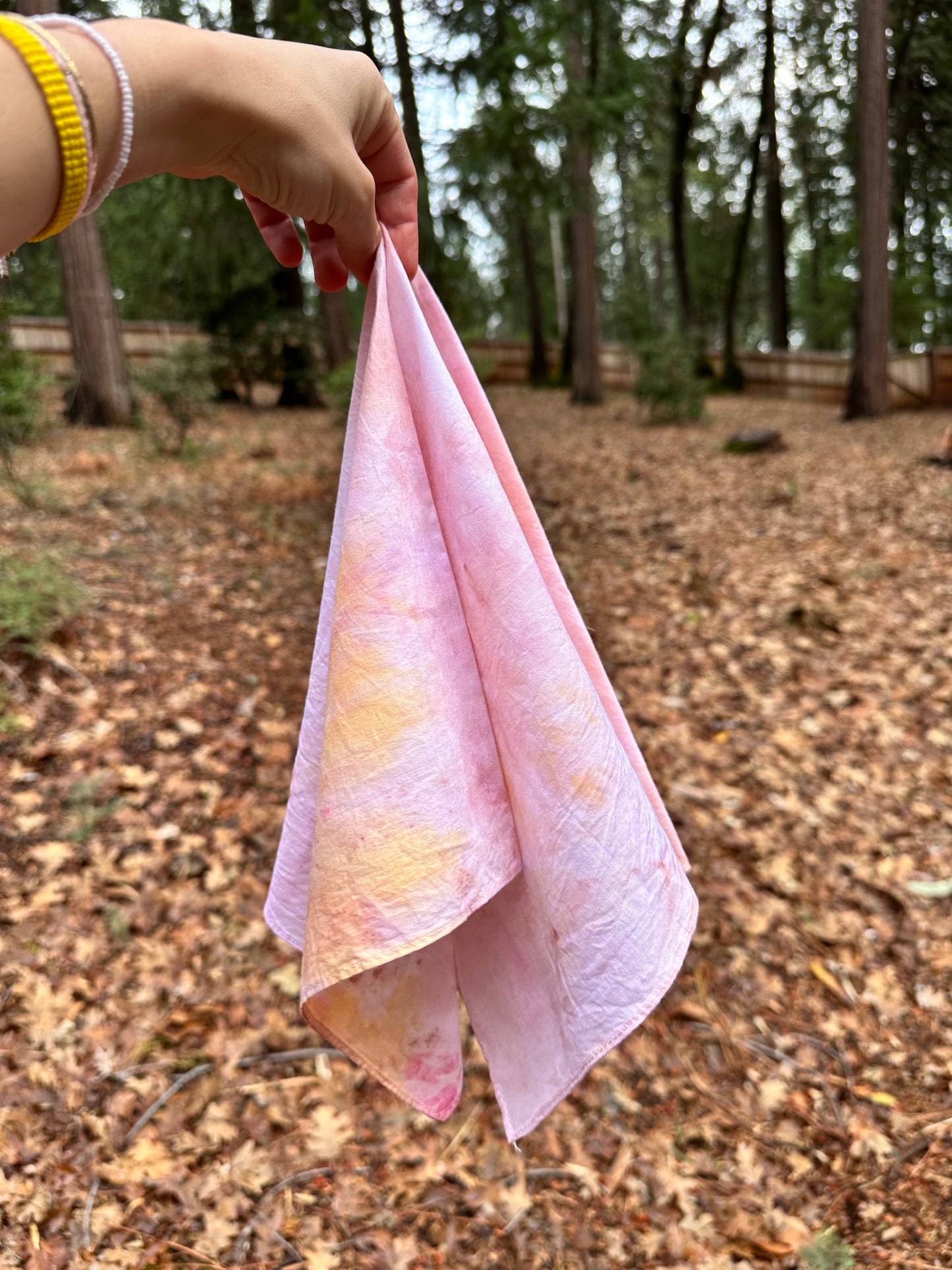 Botanical Dye Cotton Bandana