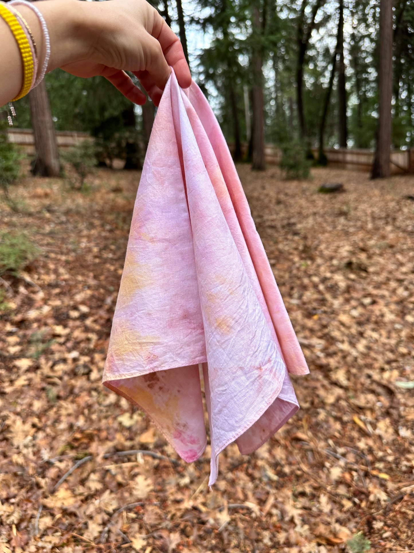 Botanical Dye Cotton Bandana